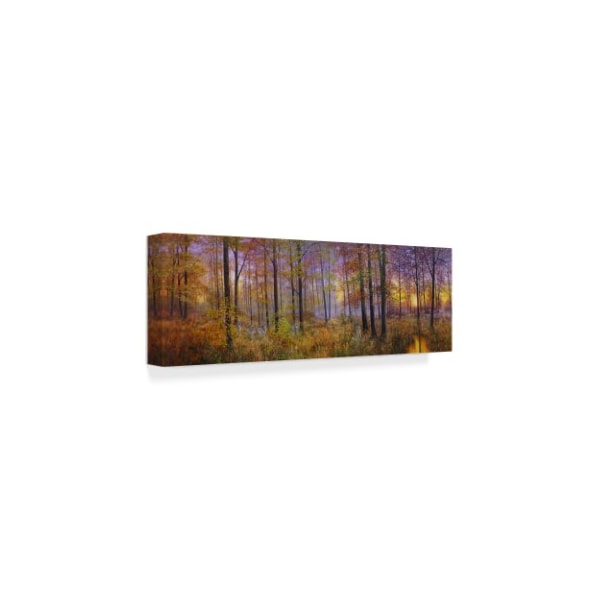 Bill Makinson 'Autumn Wolves' Canvas Art,10x32